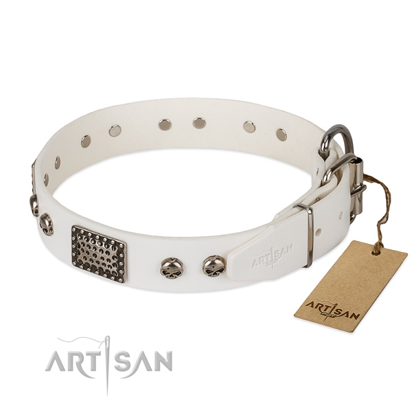 Corrosion proof hardware on everyday walking dog collar