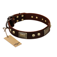 "Magic Amulet" Brown Leather Siberian Husky Collar with Skulls and Plates
