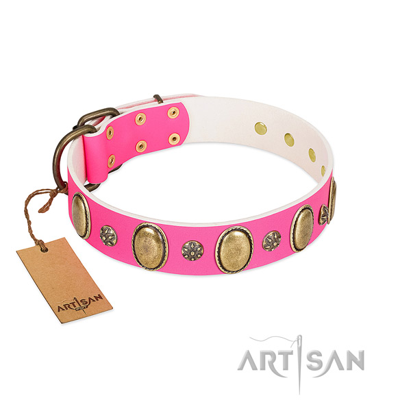 Durable natural leather dog collar with strong fittings