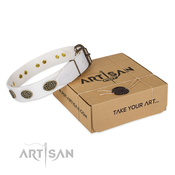 Rust-proof buckle on genuine leather collar for your beautiful four-legged friend