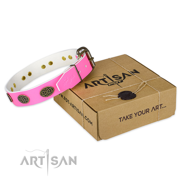 Corrosion proof traditional buckle on dog collar for easy wearing