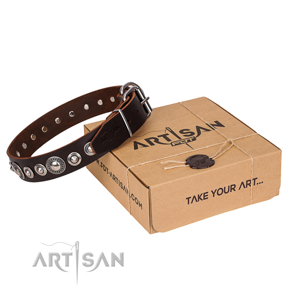 Leather dog collar made of soft to touch material with durable fittings