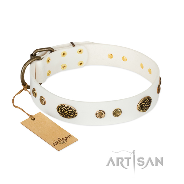 Reliable fittings on leather dog collar for your doggie