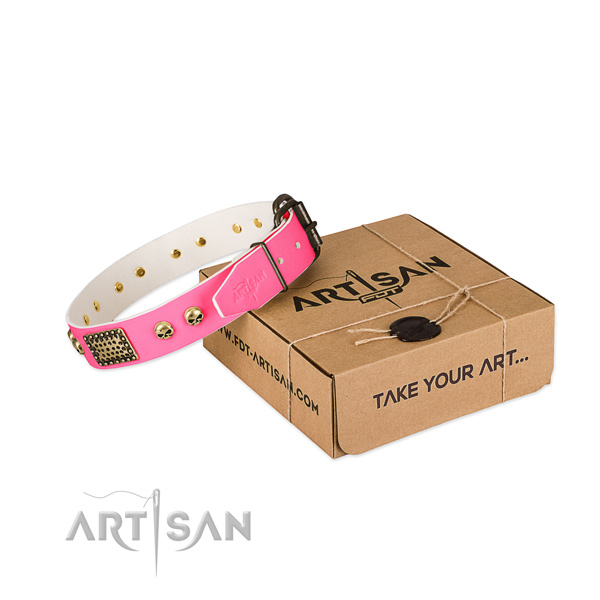 Strong fittings on dog collar for handy use