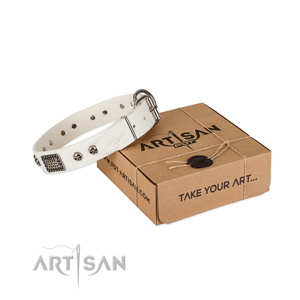 Corrosion proof D-ring on dog collar for everyday use