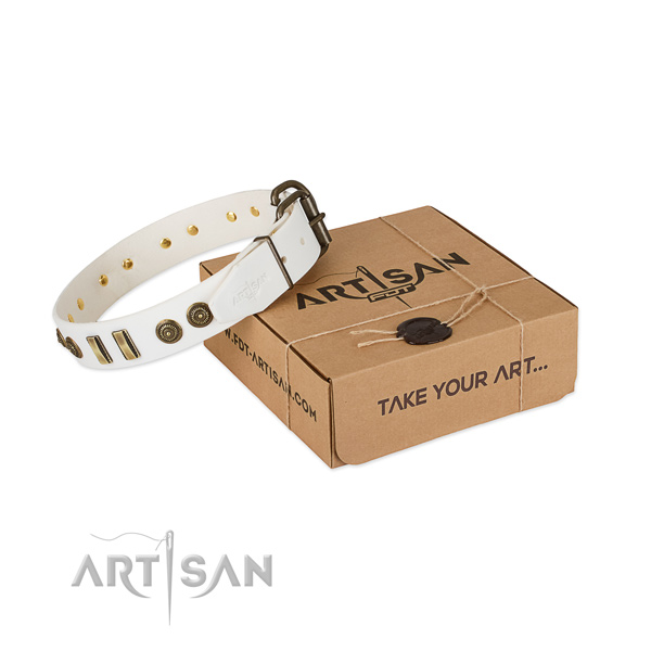 Durable adornments on natural leather dog collar for your canine