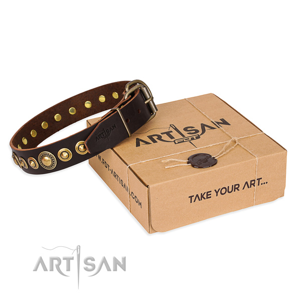 Best quality full grain natural leather dog collar handmade for fancy walking