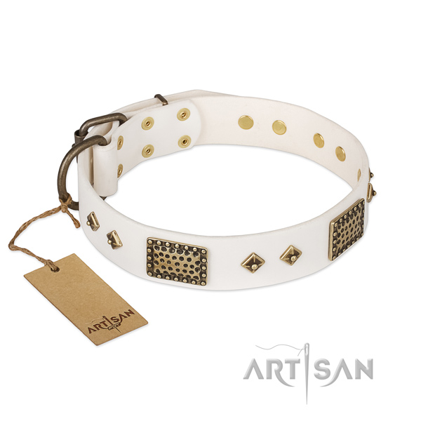 Perfect fit genuine leather dog collar for stylish walking