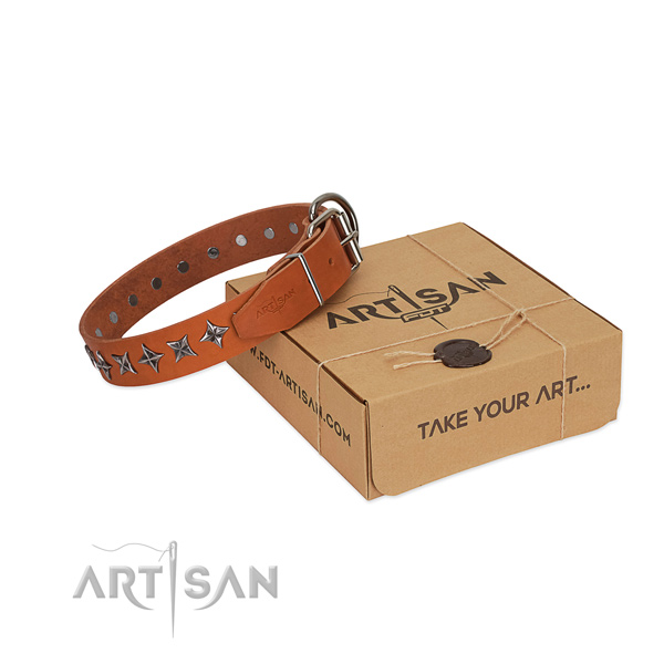 Everyday walking dog collar of quality natural leather with decorations