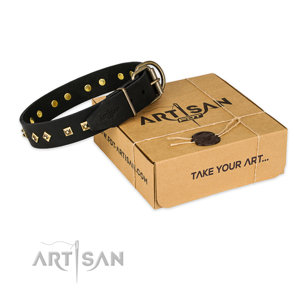 Rust-proof buckle on genuine leather collar for your beautiful four-legged friend