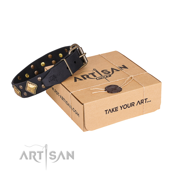 Basic training dog collar with Fashionable durable adornments