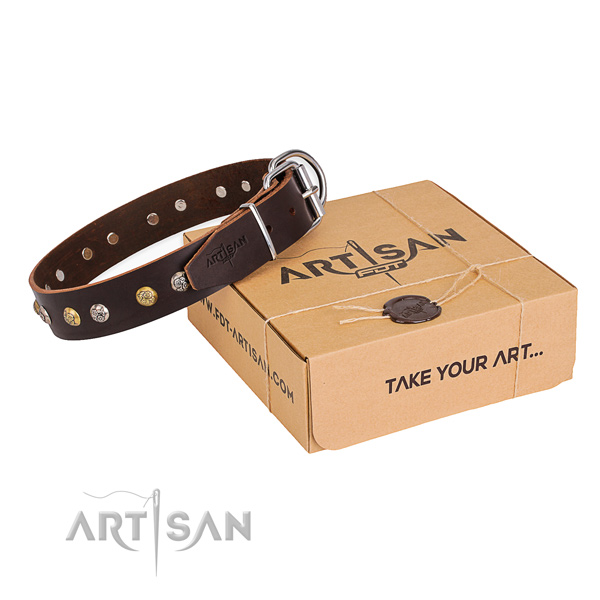 Soft leather dog collar created for walking