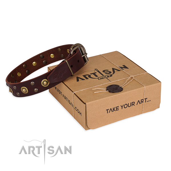 Strong D-ring on full grain natural leather collar for your stylish canine