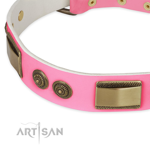 Natural genuine leather dog collar with adornments for everyday use