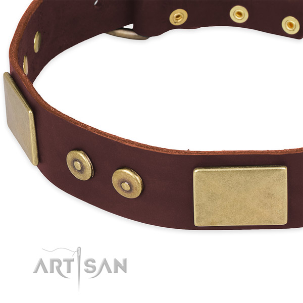 Natural genuine leather dog collar with adornments for everyday use