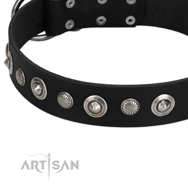 Trendy studded dog collar of top quality full grain leather