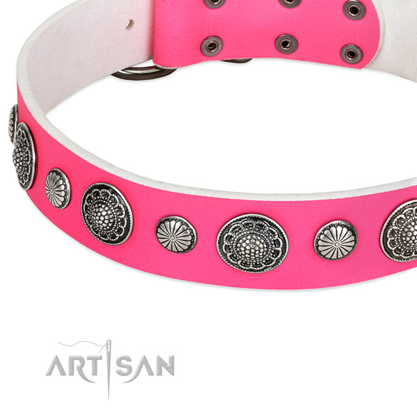 Natural leather collar with corrosion proof buckle for your stylish doggie