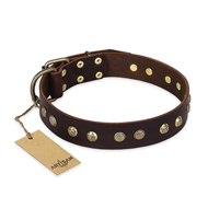 "Bronze Sheen" FDT Artisan Leather Siberian Husky Collar with Brass-Plated Studs
