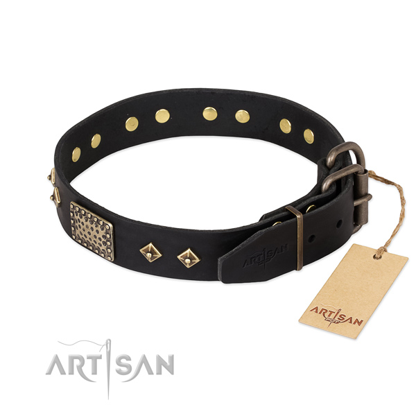 Full grain genuine leather dog collar with corrosion resistant hardware and embellishments