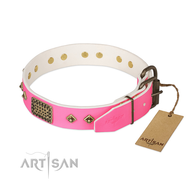 Durable embellishments on everyday walking dog collar