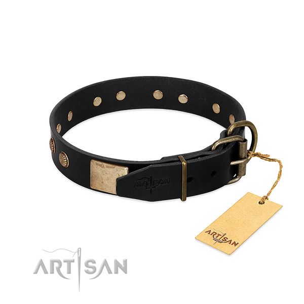 Rust-proof fittings on stylish walking dog collar