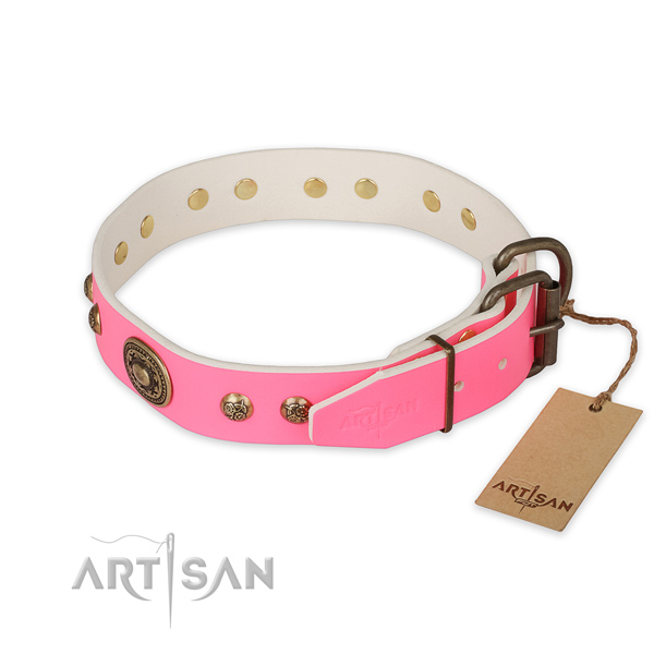Reliable traditional buckle on full grain leather collar for daily walking your pet