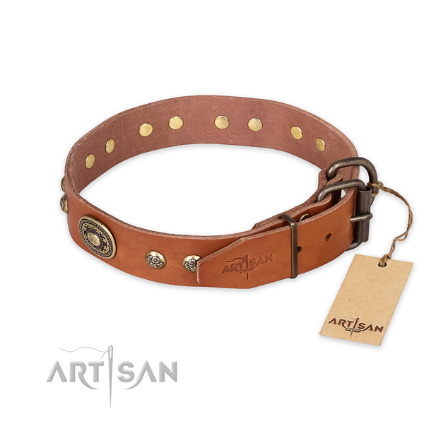 Reliable buckle on full grain leather collar for daily walking your pet