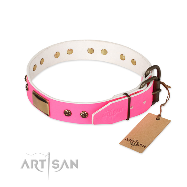 Durable embellishments on full grain natural leather dog collar for your canine