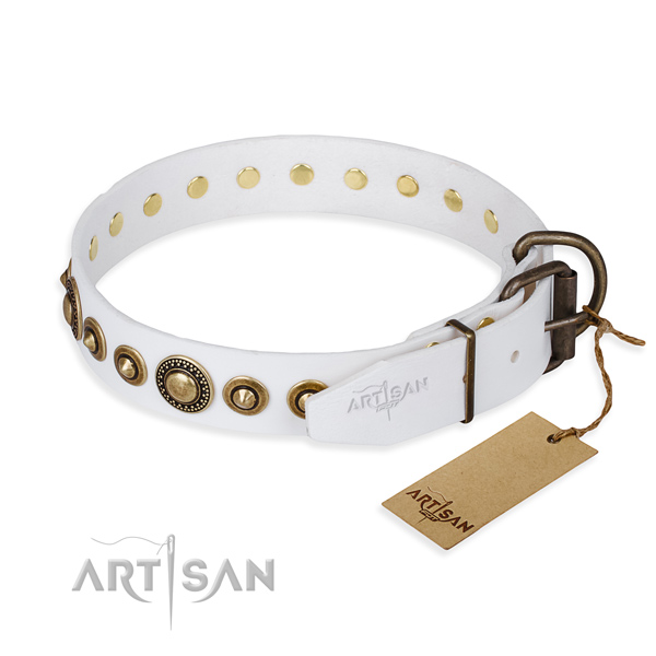 Best quality full grain leather dog collar crafted for daily walking