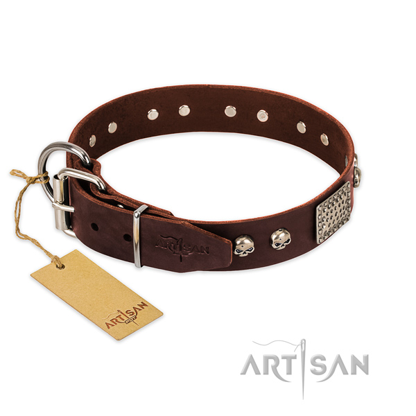 Durable traditional buckle on basic training dog collar