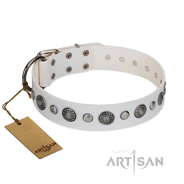 Flexible full grain leather dog collar with corrosion resistant hardware