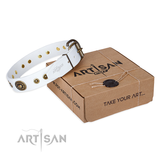 Leather dog collar made of top rate material with durable fittings