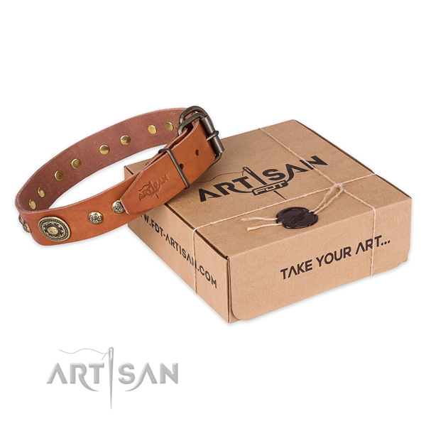 Rust resistant traditional buckle on genuine leather dog collar for walking