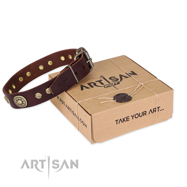 Durable hardware on full grain natural leather dog collar for daily use