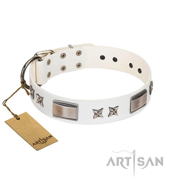 Studded dog collar of leather