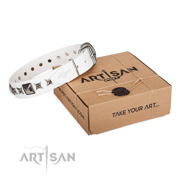 Walking full grain leather dog collar with studs