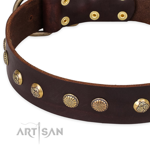 Full grain natural leather collar with reliable hardware for your stylish four-legged friend