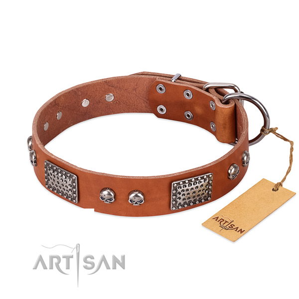 Easy wearing genuine leather dog collar for basic training your pet