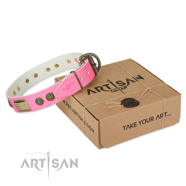 Rust-proof fittings on dog collar for everyday use