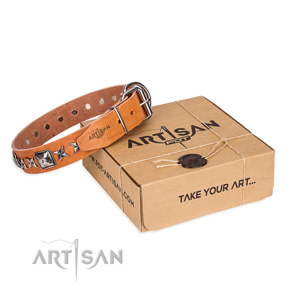 Daily use full grain natural leather dog collar with embellishments