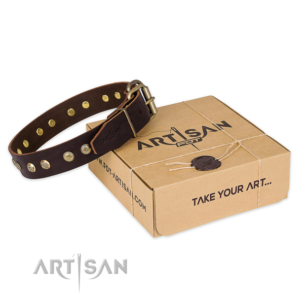 Rust-proof fittings on natural genuine leather collar for your attractive four-legged friend