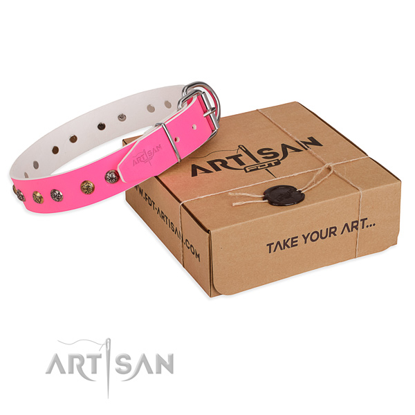 Everyday use dog collar with Stylish design corrosion proof embellishments