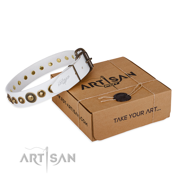 Reliable natural genuine leather dog collar handcrafted for everyday use