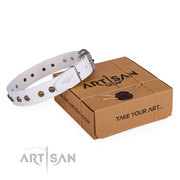 Easy wearing dog collar with Impressive rust resistant embellishments