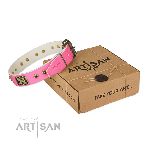 Corrosion resistant fittings on dog collar for handy use