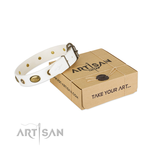 Inimitable full grain natural leather collar for your stylish four-legged friend