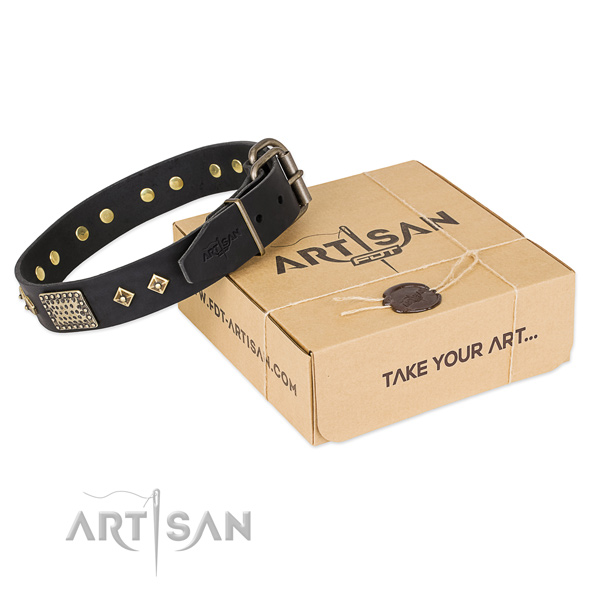 Stylish genuine leather collar for your impressive pet