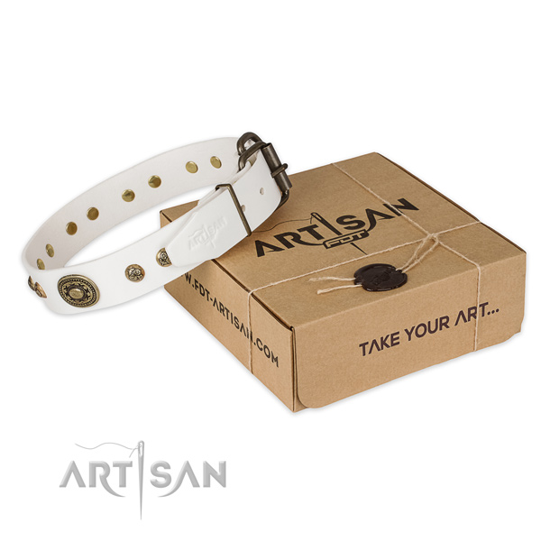 Rust resistant fittings on full grain genuine leather dog collar for basic training