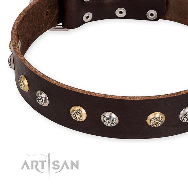 Leather dog collar with amazing rust-proof decorations