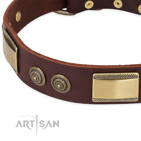 Adjustable leather collar for your beautiful canine